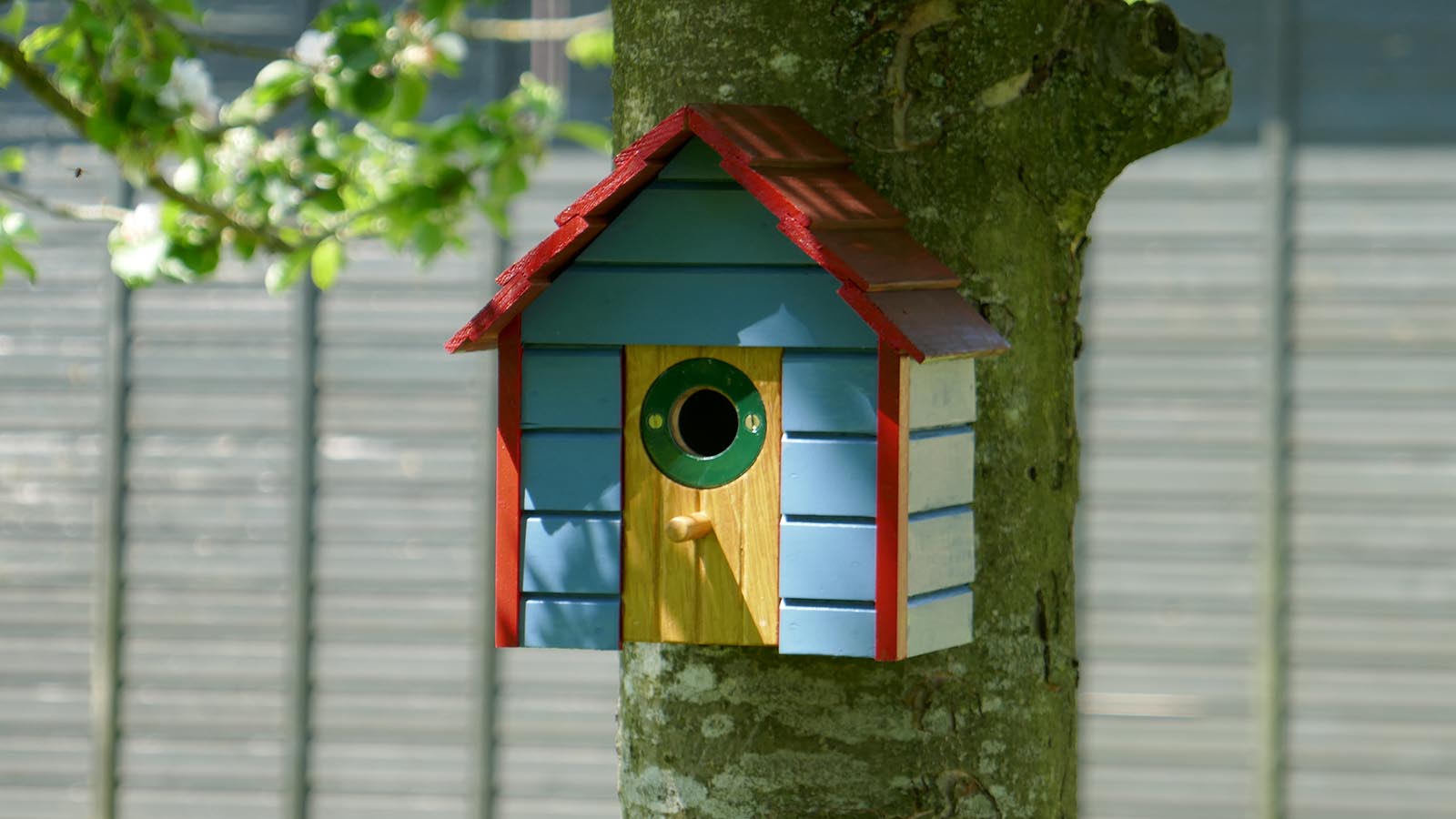 Osmo UK Colours and Protects Bird Box.