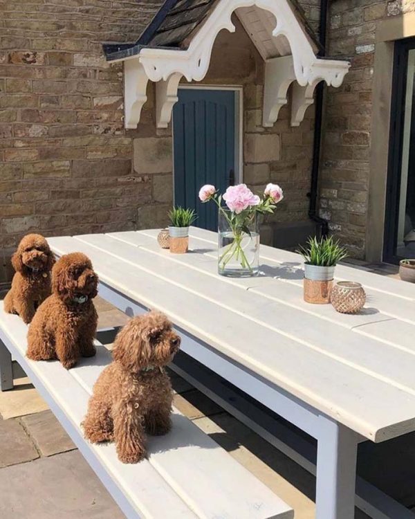 How to Protect Outdoor Wood Furniture Osmo UK