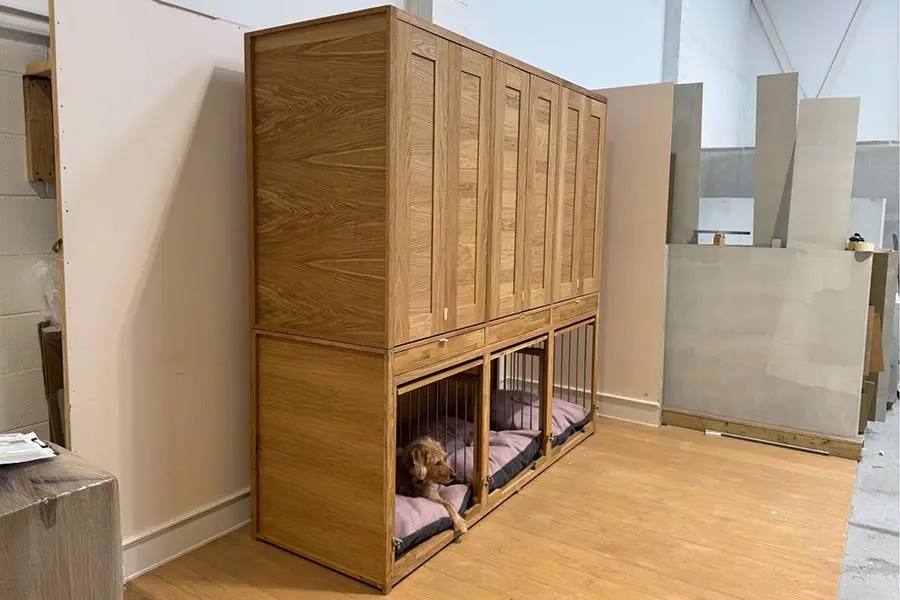 The Pet Carpenter Osmo Case Study