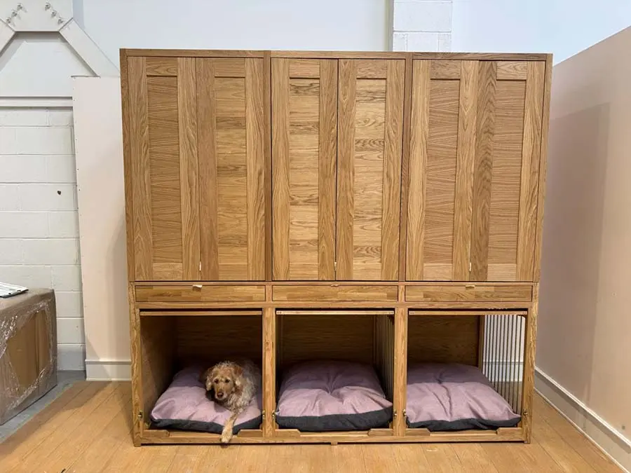 The Pet Carpenter Osmo Case Study